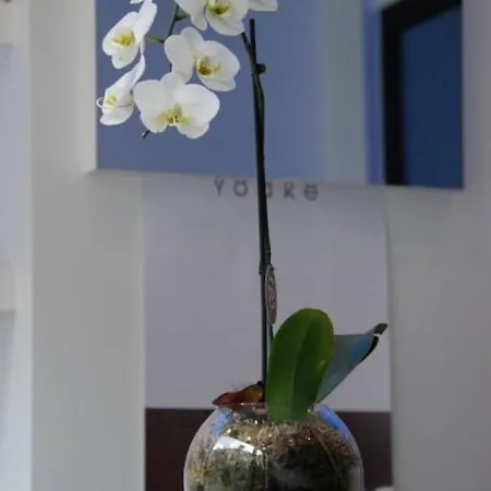 Guest house Azur Beauty & Wellness Ghent